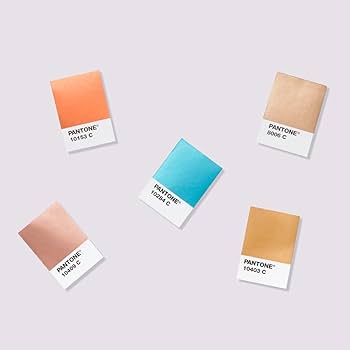 Amazon | PANTONE 色見本 パントン GB1507B メタリック・チップ