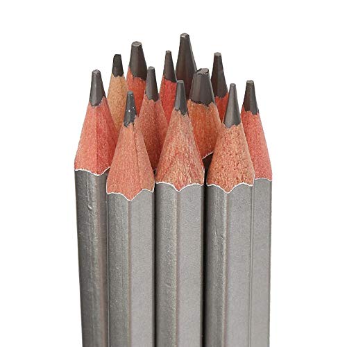 Garosa 12pz Set di matite di Grafite con Manico in...