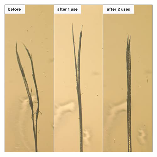 Briogeo Don't Despair Repair Leave-In Treatment