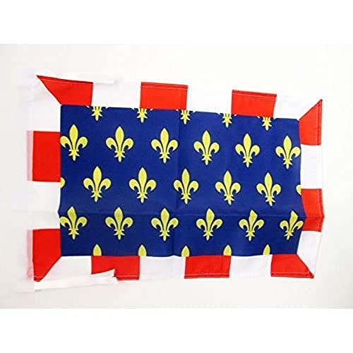 AZ FLAG, French Province of Tourraine Flag, 18'' x 12'', 100% Polyester France province Small Banner with Two Cords