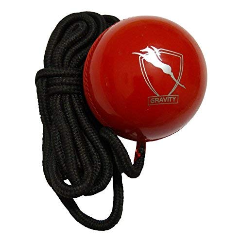 Gravity Nylon and Hard Plastic Hanging Ball for Cricket (B01LWWMO80) Amazon Price History, Amazon Price Tracker