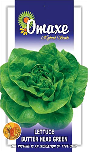 Omaxe Seeds Lettuce Imported Butter Head Green Exotic Seeds Kitchen Garden Packet (B07MCCZ15X) Amazon Price History, Amazon Price Tracker