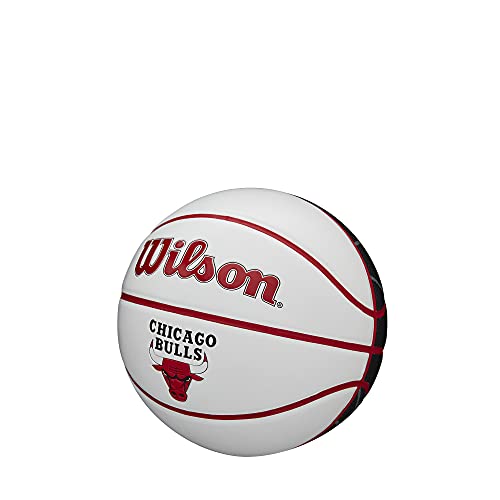 Image of WILSON NBA Team Autograph Mini Basketball - Chicago Bulls