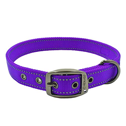 Max and Neo Reflective Metal Buckle Dog Collar Medium Purple