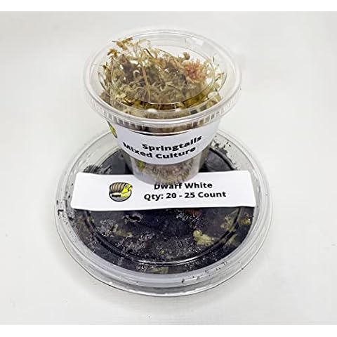 Bugzy Bugs Dwarf White & Springtail Bundle Live Isopods Trichorhina Tomentosa Bioactive Feeders Clean Up Crew Cover