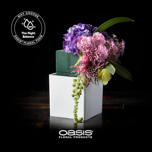 OASIS Floral Foam Brick | Florist Foam | Flower Foam Block for Crafts (Pack of 1)