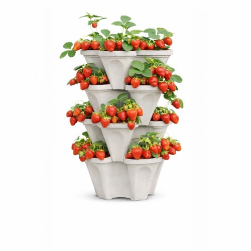 smart spring 4-Tier Stackable System