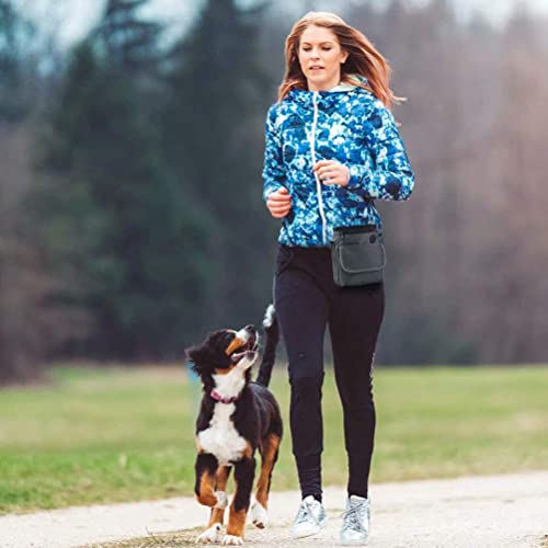 HANWELL Futterbeutel für Hunde Leckerlies, Hundeleckerlitasche mit Poop Spender-Verstellbarer Taillen/Schulterriemen, Mehrfachtaschen für Tragende Hunde Kibble und Spielzeug (Grey, Fußballmuster)
