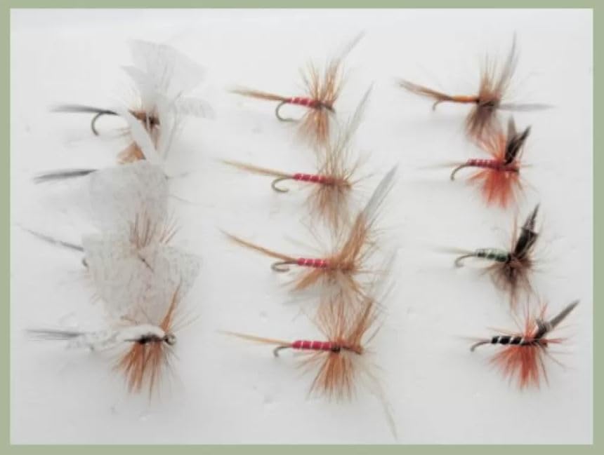 12 Pack Dry Trout Flies, Lunns Particular, Houghton Ruby, Spinners choice of sizes, Best Dry Flies (14)