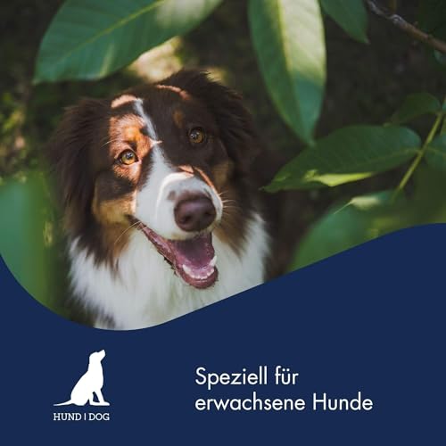DR.CLAUDER'S - B.A.R.F. Komplett Menue Lammragout | Fleischeintopf mit 100% Lammfleisch, Innereien und Gemüse für ausgewachsene Hunde. Alleinfutter in der Dose | 6X 400g Lamm
