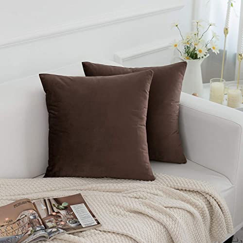 Image of 2 Piece Holland Velvet Cushion Cover, 12x12 inch, Coffee Brown | Soft Solid Decorative Throw Square Pillow Cases Modern Luxury Home Decor for Couch Sofa Bedroom Livingroom