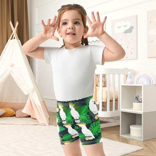 Birds Flower Dark Girls Bike Shorts Toddler Girl Clothes Under Dress Dance Shorts for Dresses,4T4