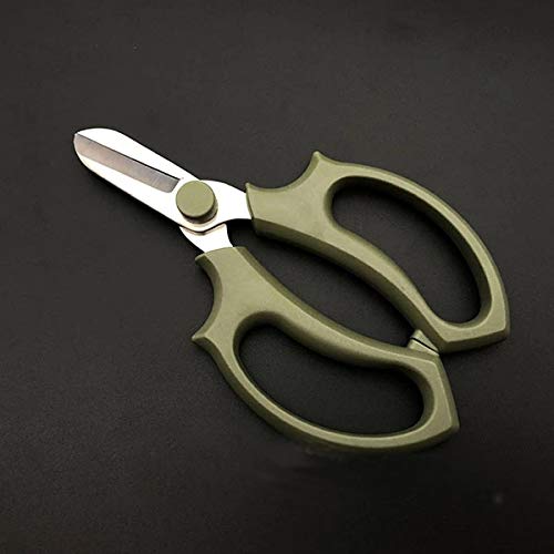 Garden Pruning Shears Scissors with Comfort Handle and Premium Steel, Floral Fruits Leaf Scissors, Hand Pruners Gardening Tool, for Flower Arrangement, Pruning, Trimming Plants (Green)