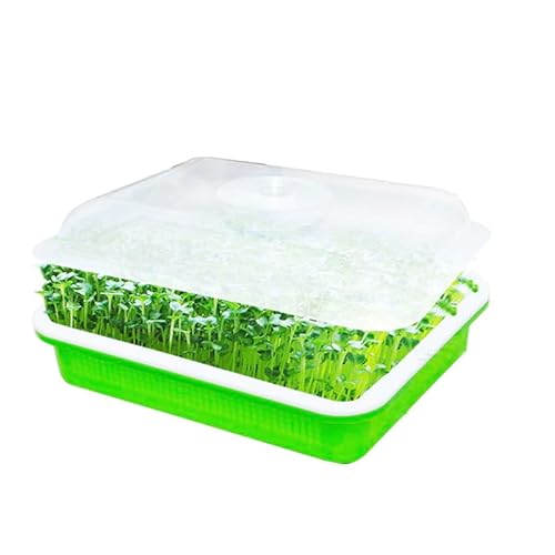 ブロッコリースプラウト 栽培キット、育苗トレイ、無土栽培野菜水耕栽培装置、エンドウの芽や豆苗の植え付け (草の緑, カバーされた)
