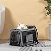 Petsfit-Most-Airline-Approved-Cat-Carrier-Dog-CarriersLarge-Capacity-Lightweight-Washable-Soft-Sided-Pet-Travel-Carrier-for-Other-Samll-Animal-with-5-Sided-Breathable-mesh Large Capacity Pet Travel Carrier