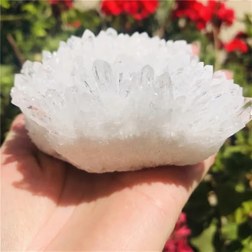 Cluster de quartz cristal de roche premium, pierre droite de collection pour décoration 600g