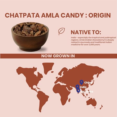 Image of Livyor Dried Chatpata Amla Candy for eating 200g | Dried and Spicy | Indian Dry Gooseberry Avla | Mouth freshner | No preservatives | | Amla Candy Chatpata | Pack of 1