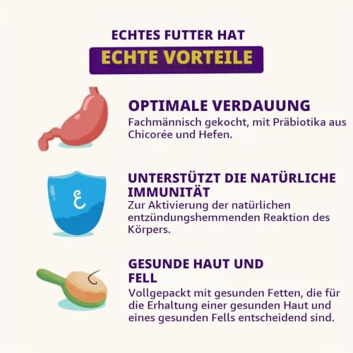 Edgard Cooper Hundeleckerli, Bravo Biscuits Banana, 400g x 1 Adult Welpen Leckerlis, Getreidefrei, Natürliche Zutaten, hoher Proteingehalt und frisches Fleisch