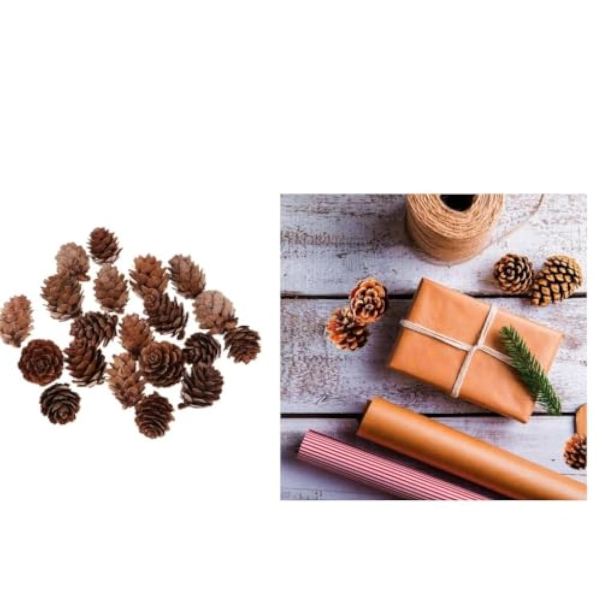 Big and Small Pine Cones Craft Set for DIY Projects