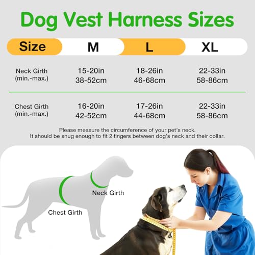 Jewyow Hundegeschirr Leuchtend, Wiederaufladbare LED Hundegeschirr, Led Geschirr für Hunde mit Weicher Griff, 3 Einstellbare Modus, Wasserdicht für Mittelgroße, Große Hund, Green-M