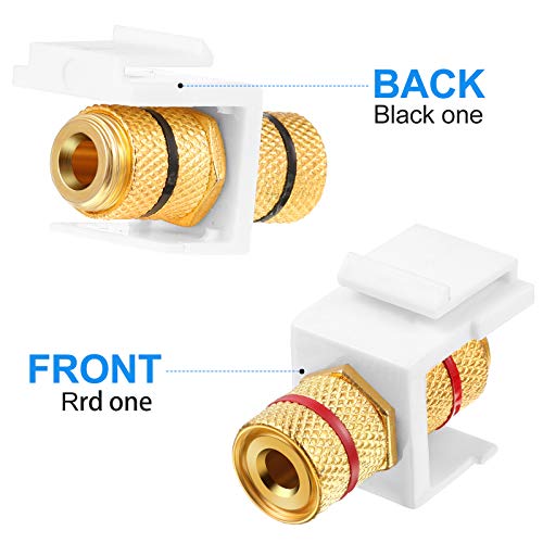 Conector Keystone Banana Jack para panel de pared con inserción tipo tornillo en audio de casa 4