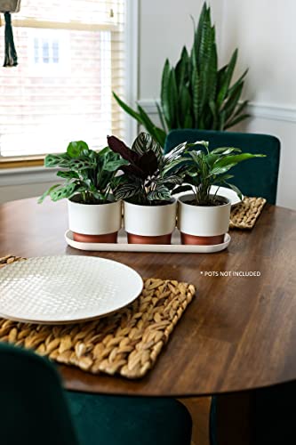 The Hc Companies SSS15000G28C016LRDJX 15 Inch Oval Sprite Pot Plant Saucer thumb #3