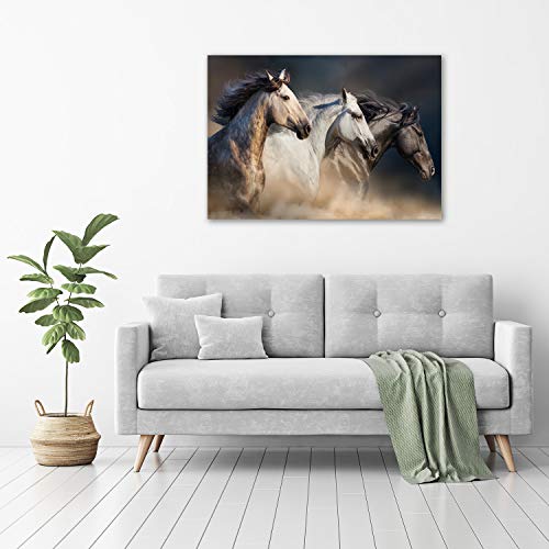 Image sur verre de chevaux au galop brun pour créer une ambiance naturelle dans votre cuisine