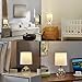 EJIAXIN Small Table Lamps Set of 2-13.5