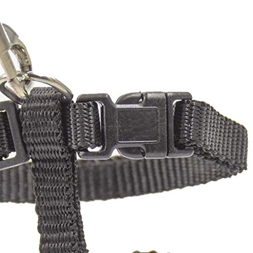 Xpangle Cat Harness And Leash Adjustable Nylon Halter Harness Kitten Nylon Strap Belt Safety Rope Leads (Black) #TOP2