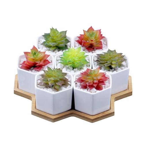 Set of 7 Hexagon Shaped Ceramic Succulent Planters Cactus Flower Pots, Geometric Plant Pots with Bamboo Tray