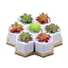 Set of 7 Hexagon Shaped Ceramic Succulent Planters Cactus Flower Pots , Geometric Plant Pots with Bamboo Tray