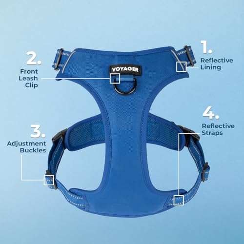 Image of Voyager Dog Harness Dual Leash Attachment No-Pull Control Adjustable Soft but Strong Pet Harness for Medium and Large Dogs with 3M Reflective Technology, Leash Set Royal Nylon, XS (Chest: 13-16 inch)