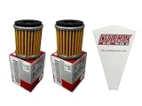 Cyclemax Two Pack compatible with Yamaha Oil Cleaner Element Assembly 5D3-13440-09-00 Contains Two