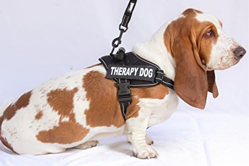 therapy dog vest amazon