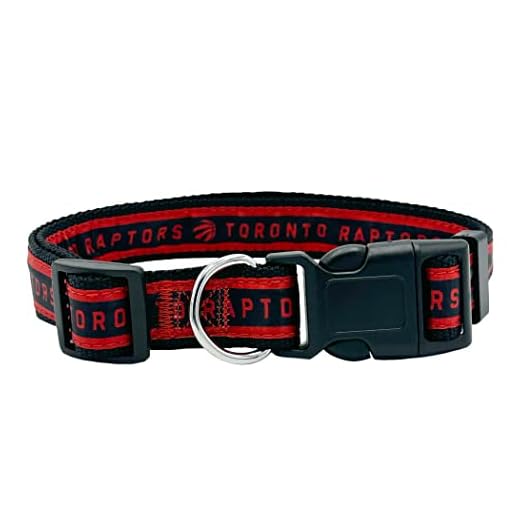 NBA Toronto Raptors Dog Collar, Size Small, Best Pet Collar for All Sports Fans