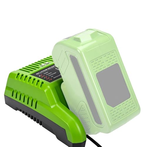 Cargador de batería DC de pared para taller y hogar 4