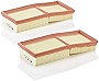 Mann Filter C 2861-2 Air Filter (Set of 2)