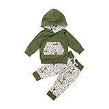 Design: Langarm-Hoodie und lange Hose bieten Ihrem Baby einen warmen Zustand beim Spielen. Rosendruck oder Fuchsdruck oder Blattdruck auf der Kängurutasche und dem Hutinneren, die Ihr Baby niedlicher zeigen können. Elastischer Bund und Kordelzug bieten Ihrem Baby eine bessere Passform.