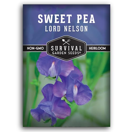 Lord Nelson Sweet Pea Seeds for Planting Outdoors - Plant and Grow Fragrant Blue Lathyrus Odoratus Flowers in Your Home Garden - Non-GMO Heirloom Open-Pollinated - Survival Garden Seeds (1 Pack)