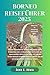 Produktbild BORNEO REISEFÜHRER: Begeben Sie sich auf eine spannende Expedition durch die Regenwälder, Flüsse, Kulturwunder, Traditionen und Kulturwunder Borneos (Xenia Reisen und Touren, Band 6)