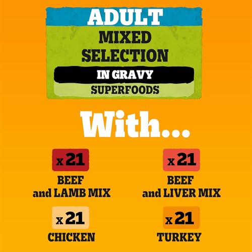 PEDIGREE Adult Hundenassfutter für ausgewachsene Hunde im Portionsbeutel – Gemischte Selektion in Sauce 4 Varietäten, 84 x 100g