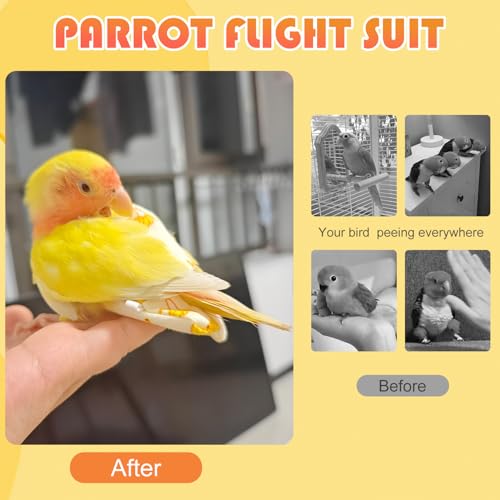 6 Stück Vogelwindeln, Papageienwindel, Fluganzug, Wiederverwendbare Kleidung für Nymphensittiche mit elastischem Rückenseil, wasserdichte Innenschicht, waschbare Windel für Wellensittiche, Mini-Aras