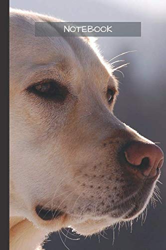 Labrador Notebook: Cool Labrador notebook - Travel Journal to write in - 120 pages - 6"x9", White