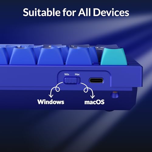 Image of Q1 Swappable RGB Backlight Blue Switch Knob Version - Blue