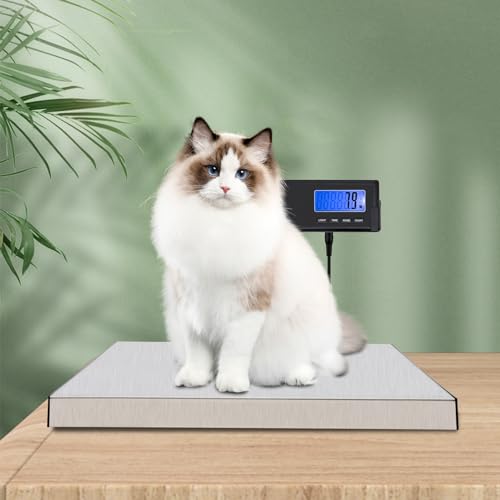 Báscula digital de piso con pantalla remota y capacidad 396 lb miniatura 2