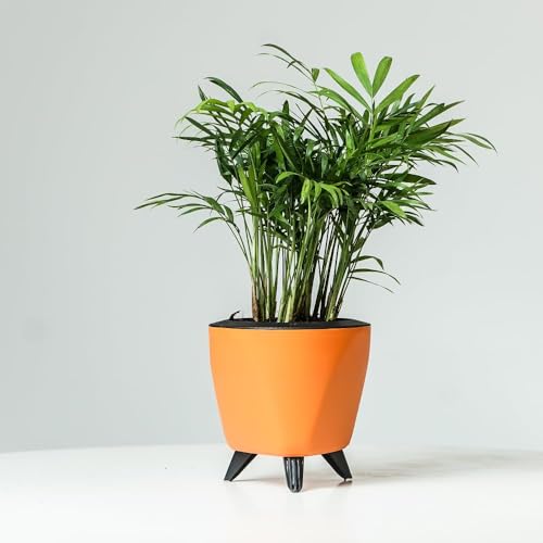 Image of Garden Art Indoor Outdoor Self Watering Planter Home Living Room Office Tabletop Decorative Plastic Flower Pot 5.1 Inch PPLAO (Orange, 3) (Pack of 3)