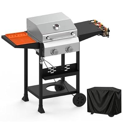 2 Burner Propane Gas Grill, 24000 BTU BBQ Grill with Lid, Foldable Side Tables & Wheels, Portable Outdoor Grill for Backyard, Patio, Camping & Tailgating