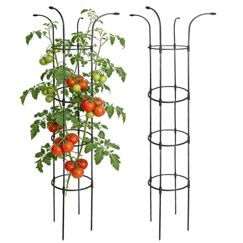 Marco de soporte para plantas trepadoras y torre de escalada vertical de acero inoxidable 2