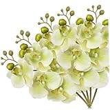 Conception résistante à la décade: Fabriquée avec un tissu de soie de haute qualité, ces fausses orchidées sont résistantes à la décoloration et à l'usure, garantissant qu'elles restent une pièce étonnante dans votre maison pour les années à venir.