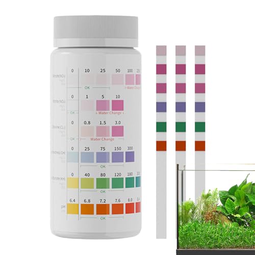 eXgXgbv-100pcsكLbgArfpAAɎ_AɎ_Adx|zbg^uv[z[s̃NCbNj^[gpSҌƐ كeXgXgbv